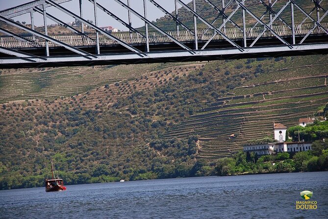 1-Hour Rabelo Boat Trip in Pinhão - Why the Douro looks different from the river