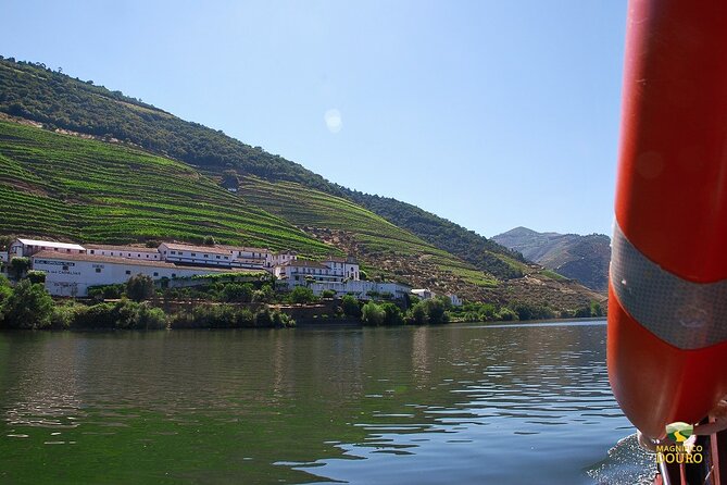 1-Hour Rabelo Boat Trip in Pinhão - Timing, crowd levels, and the best departure