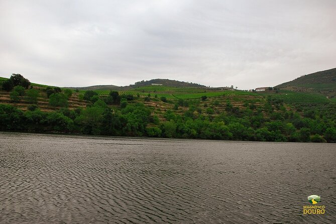 1-Hour Rabelo Boat Trip in Pinhão - What the trip is worth at $18