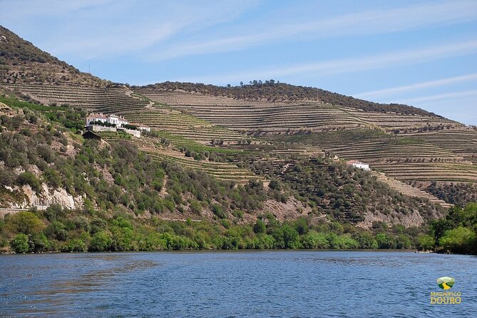 1-Hour Rabelo Boat Trip in Pinhão - Comfort and accessibility on board