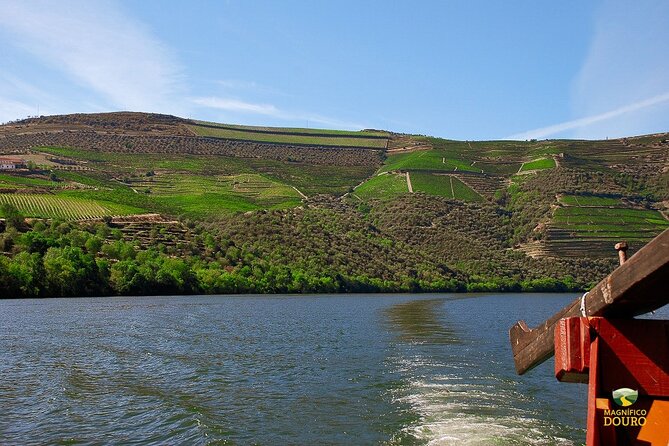 1-Hour Rabelo Boat Trip in Pinhão - The one-hour route from Pinhão to Roncão