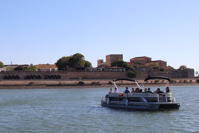 2-hour Bird Watching Guided Boat Trip in Ria Formosa from Faro Algarve - The bird list depends on season and tide