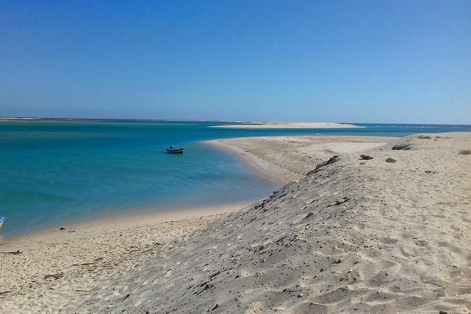 2-hour Bird Watching Guided Boat Trip in Ria Formosa from Faro Algarve - Why the small boat matters