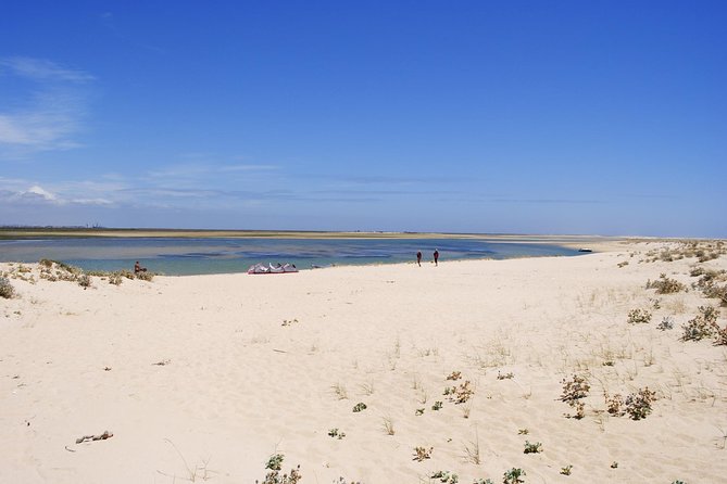 2-hour Bird Watching Guided Boat Trip in Ria Formosa from Faro Algarve - Is $48.27 a fair price?