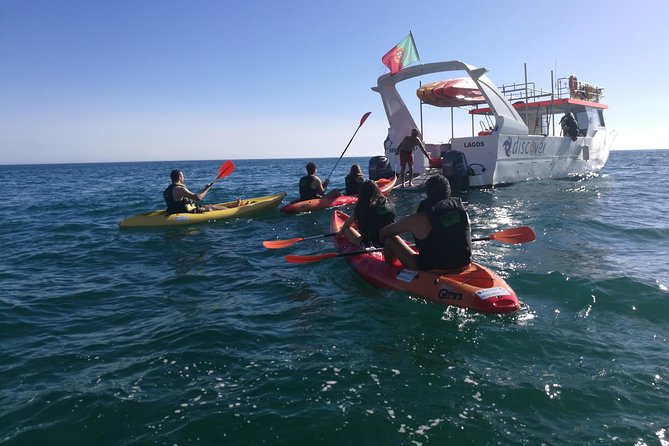 2-hour Kayak Tour of Ponta da Piedade Caves and Beaches - From Lagos Marina to the golden beaches
