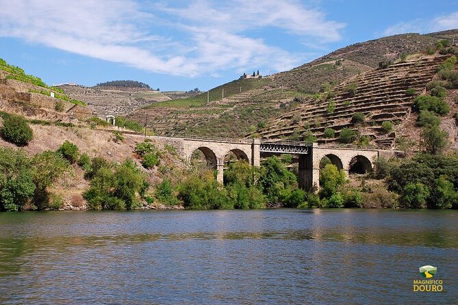 2-hour Rabelo Boat tour in Pinhão - From Pinhão to the Eiffel bridge