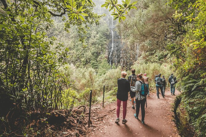 25 Fountains Levada: Hiking Tour in Madeira Rabaçal Valley (PR6) - The 800-meter tunnel and the final views