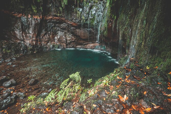 25 Fountains Levada: Hiking Tour in Madeira Rabaçal Valley (PR6) - How the guide and driver shape the day