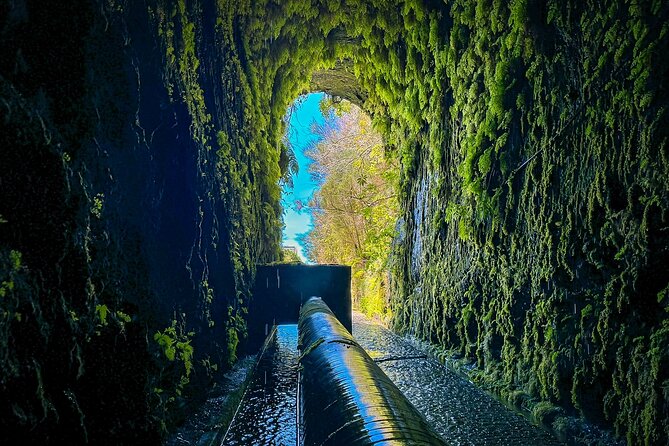 25 Fountains Levada: Hiking Tour in Madeira Rabaçal Valley (PR6) - Price, timing, and what you receive for $52.87