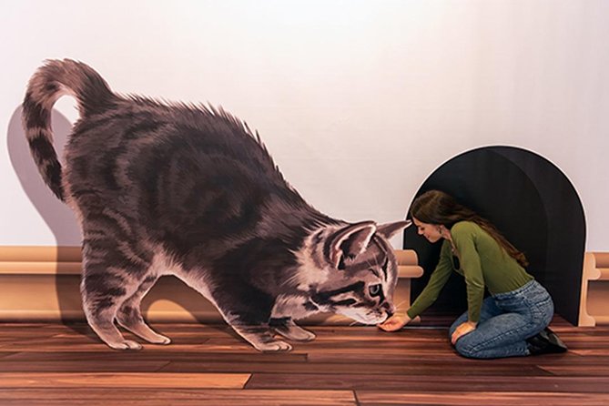 3D Fun Art Museum Funchal - Why the Camera Angle Matters