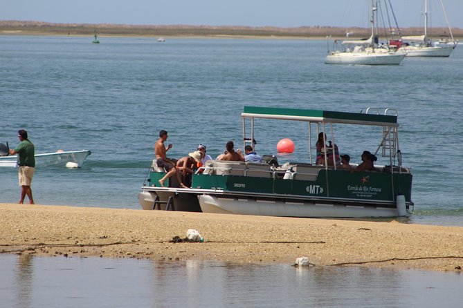 4 Stops | 3 Islands & Ria Formosa Natural Park - From Faro - Birds, tides, and what you see from the boat