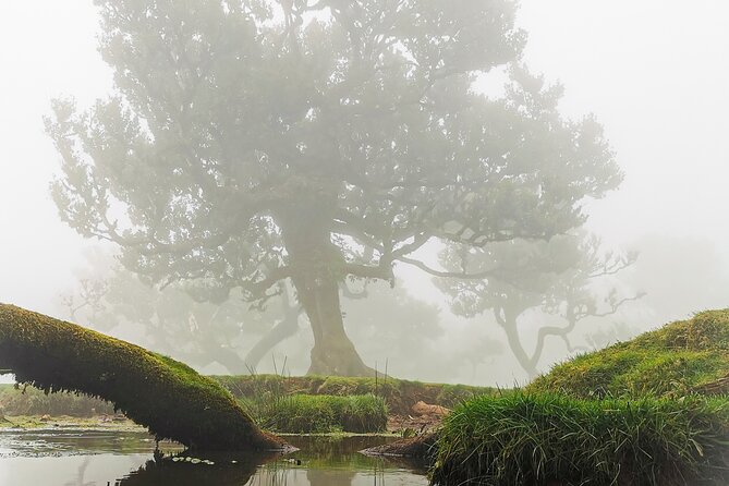 4x4 Jeep Tour to the West & Northwest of Madeira - São Vicente’s valley and waterfall stop