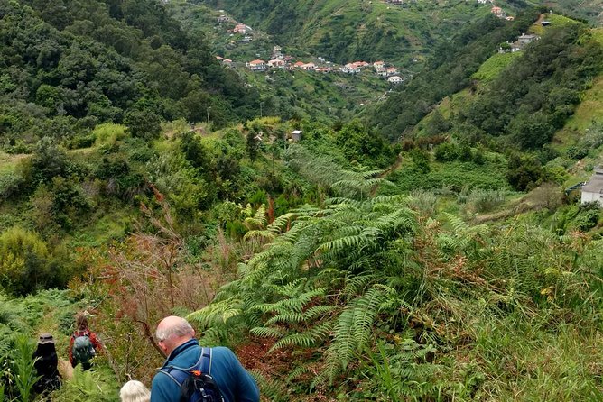 4x4 Safari Private Jeep, Full Day, Customizable Santana or Porto Moniz or other - What the guides add to the day