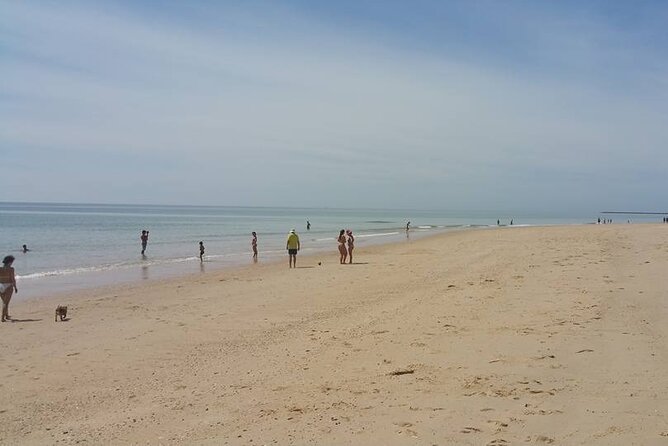 5-hour tour with 3 stops around the islands and beaches of Ria Formosa - The role of Leandro and the local team