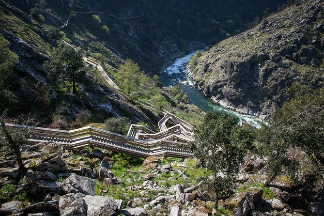 516 Arouca Bridge, Paiva Walkways and Aveiro Tour - Why this makes a strong break from Porto