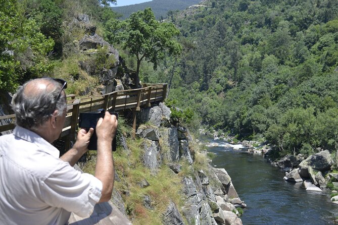 516 Arouca Bridge, Paiva Walkways and Aveiro Tour - Who will enjoy this day most