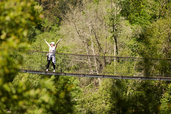 516 Arouca Bridge & Paiva Walkways Tour with Lunch from Porto - Should you book the 516 Arouca tour?