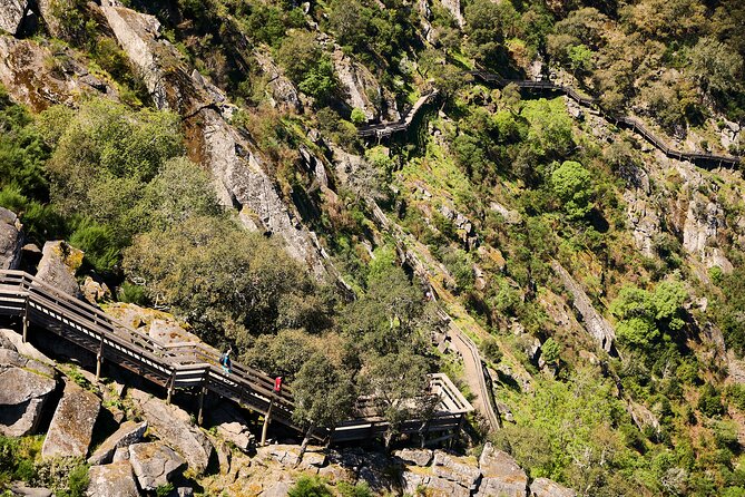 516 Arouca Bridge & Paiva Walkways Tour with Lunch from Porto - The Paiva Walkway is the day’s real workout