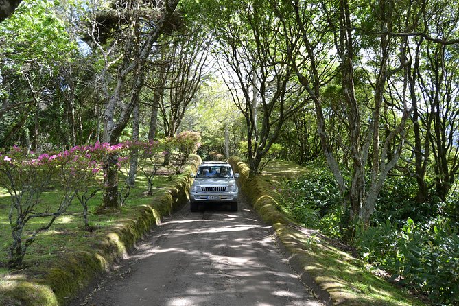 8-Hour Private Tour in 4x4 Vehicle from Ponta Delgada - Key points to know before you book