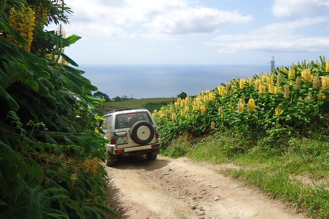 8-Hour Private Tour in 4x4 Vehicle from Ponta Delgada - Guides who shape the day