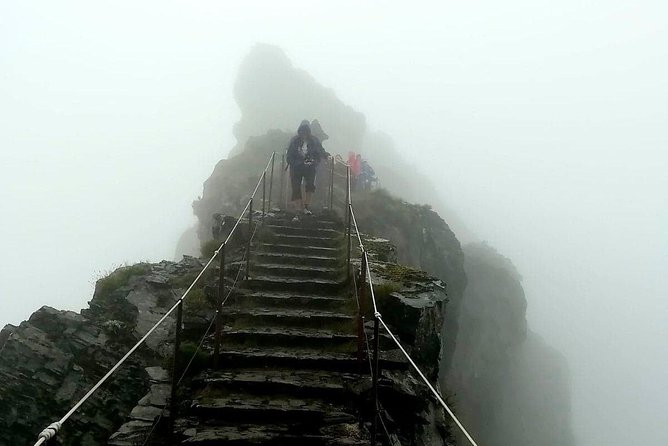 Achadas Teixeira- Pico Ruivo -& Pico pedras/Queimadas forest walk - What the guides add to the day