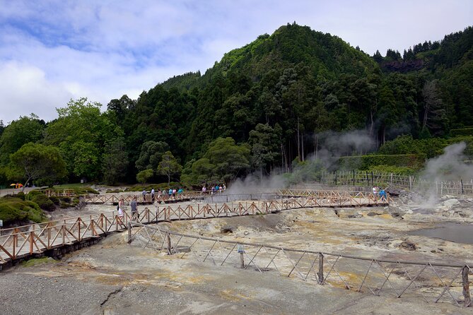 Adventure in the Furnas, with volcanoes, lagoons and tea plantations - The pineapple plantation shows a different side of island farming