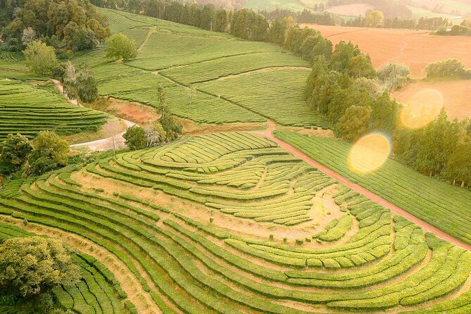 Adventure in the Furnas, with volcanoes, lagoons and tea plantations - Is $78.64 good value for a full day?
