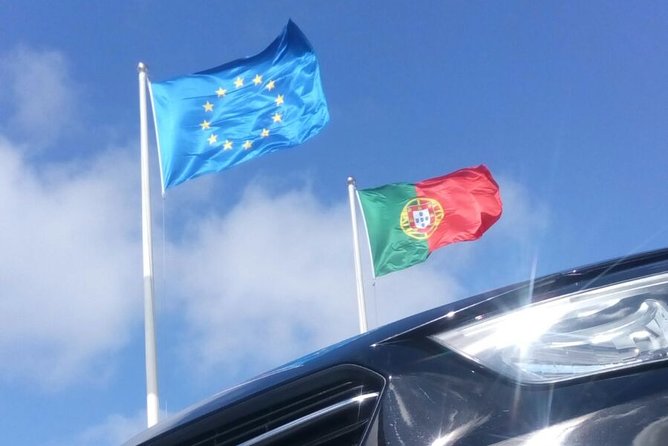 Airport Private Transfer to/from Lisbon - Infant seats, animals, and general participation