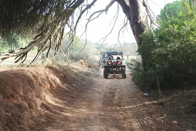 Albufeira 1.5 hour Off-Road Tour Buggy Adventure Tour - The return through the Algarve