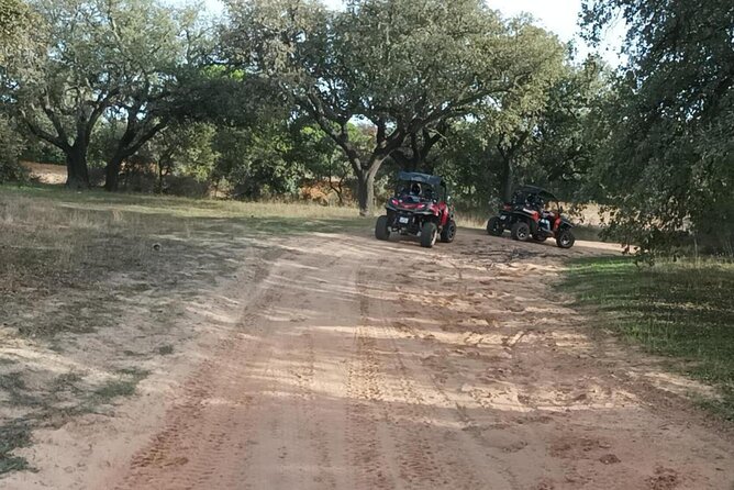 Albufeira 1.5 hour Off-Road Tour Buggy Adventure Tour - Is $59.74 good value?