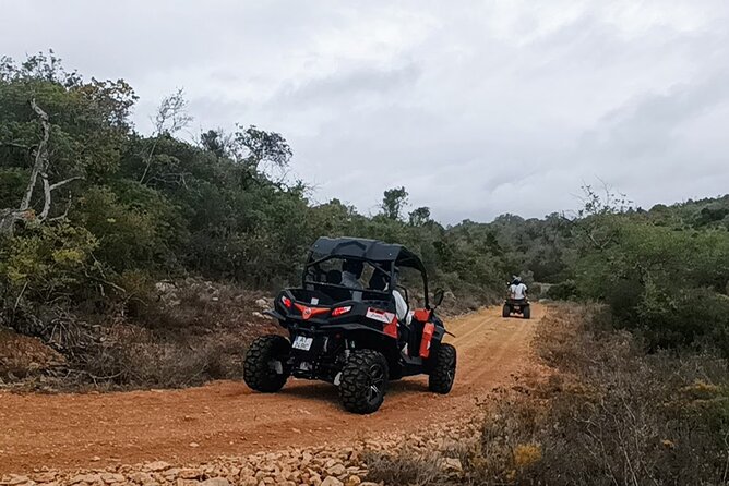 Albufeira 1.5 hour Off-Road Tour Buggy Adventure Tour - Practical preparation for a better ride
