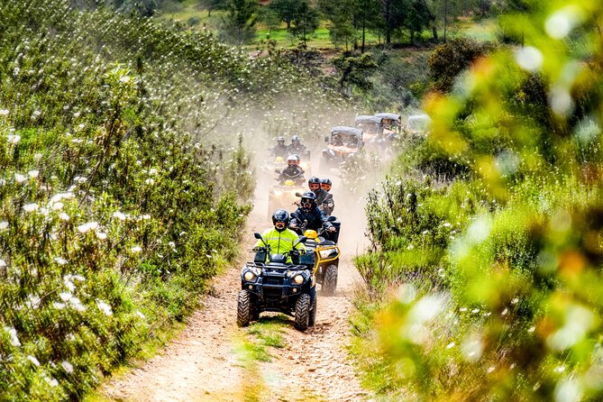 Albufeira: 1.5-Hour Scenic & Thrilling Off-Road Quad Adventure - Trading Albufeira’s beaches for the Algarve backcountry