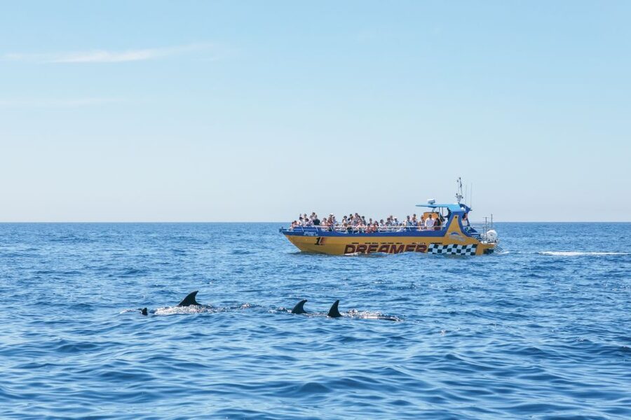 Albufeira: 2.5-Hour Benagil Caves & Dolphin Watching - Guides, captains, and the feel on board