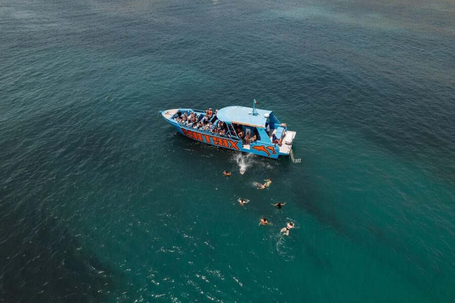 Albufeira: 2.5-Hour Dolphin Watching and Caves Trip - Chapel Nossa Senhora da Rocha and Albandeira Beach