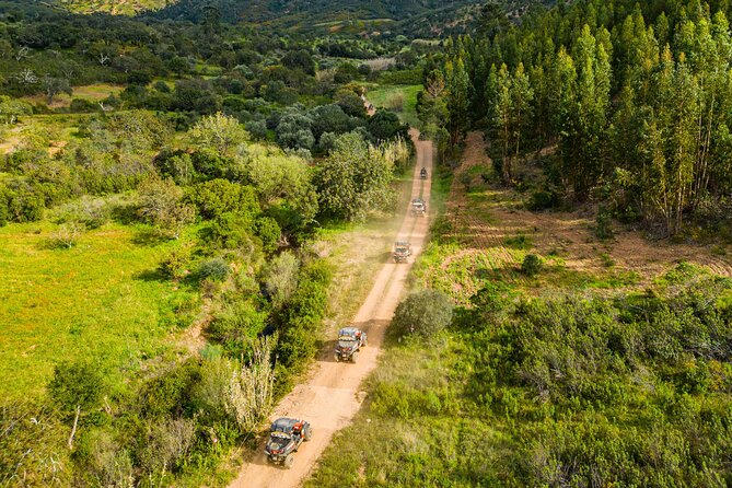 Albufeira: 3-Hour Off-Road Buggy Tour to Hidden Algarve Trails - Paderne and the local countryside