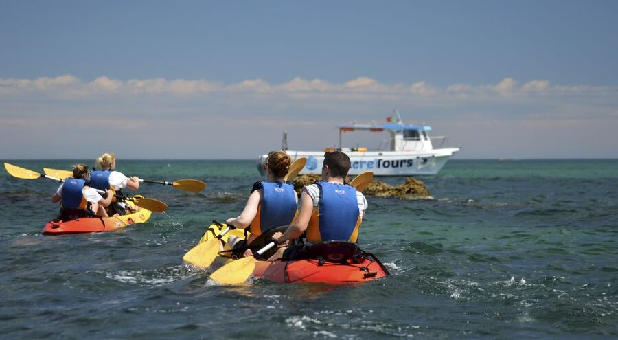 Albufeira: Algarve Kayak and Coastline Tour - What this Albufeira kayak tour is really like