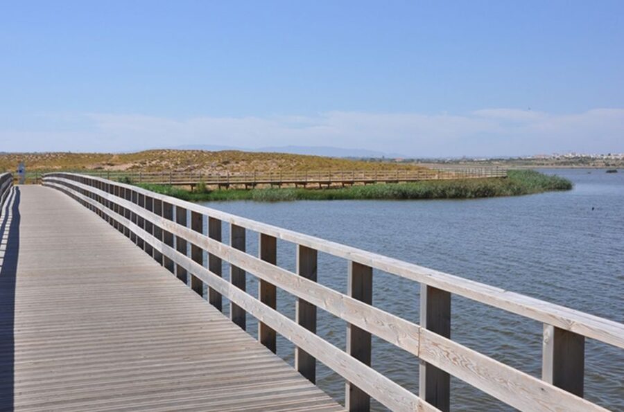 Albufeira: Beaches, Old Town, and Salgados Lagoon Jeep Tour - Salgados Lagoon and the birdlife