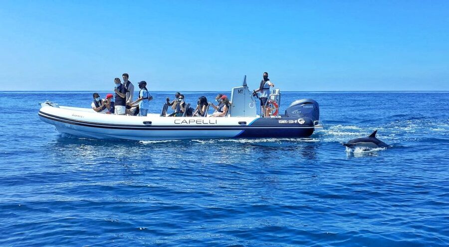 Albufeira: Benagil Cave and Dolphin Sightseeing Boat Cruise - The caves of Senhora da Rocha and Albandeira