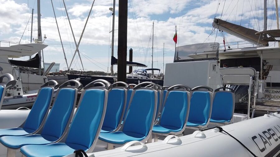 Albufeira: Benagil Cave and Dolphin Sightseeing Boat Cruise - Who will enjoy this boat cruise most