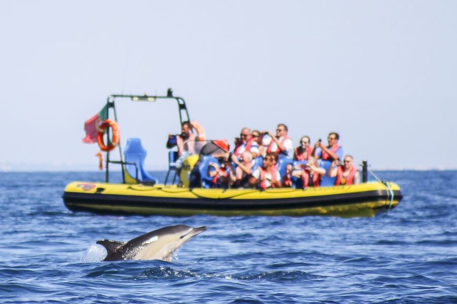 Albufeira: Benagil Caves & Dolphin Watching Speed Boat Tour - Key points at a glance