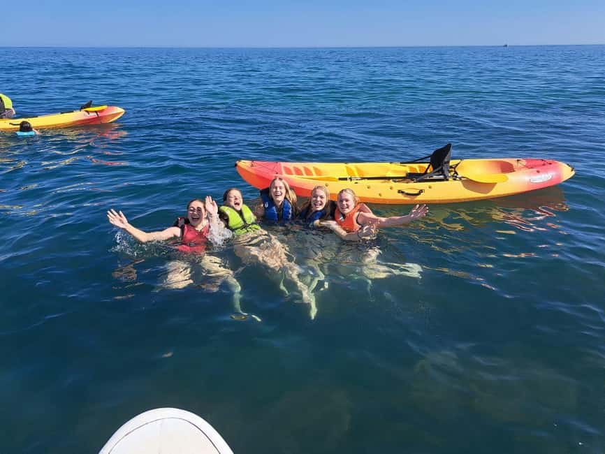 Albufeira: Caves and Cliffs Kayaking Tour - The best break at Praia das Salamitras