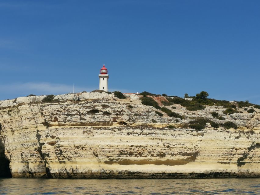 Albufeira: Coastline and Benagil Caves Tour by Catamaran - Is $35 a good price for this cruise?