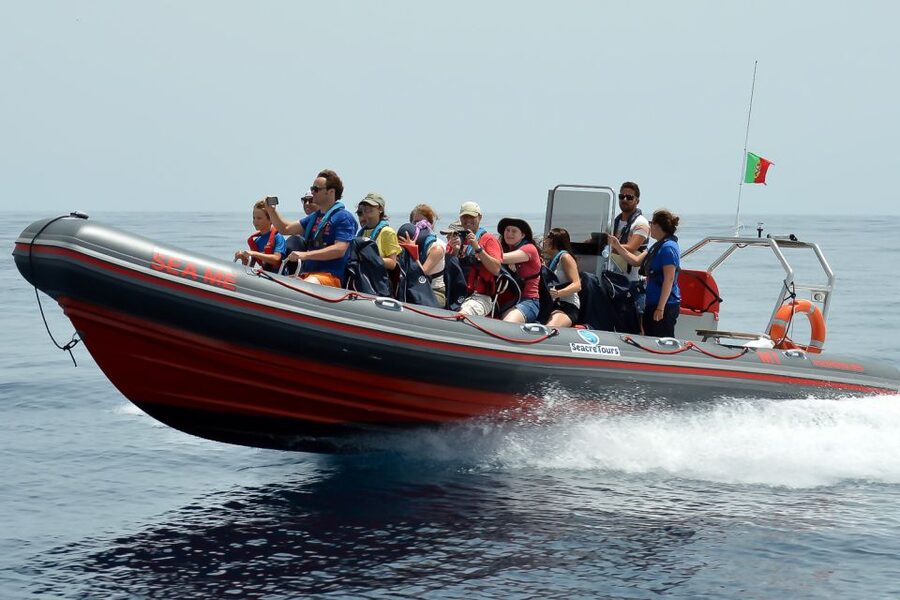 Albufeira: Dolphin Watching and Benagil Cave Boat Cruise - Key points to know before you book