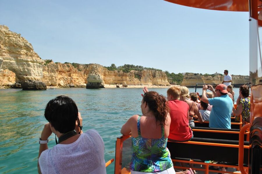 Albufeira: Dolphin Watching and Benagil Cave - Searching for dolphins in open water