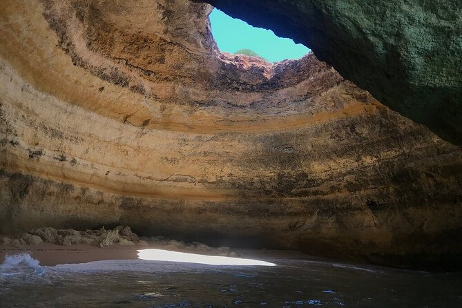 Albufeira: Dolphins and Caves Tour - How the $36.28 price holds up