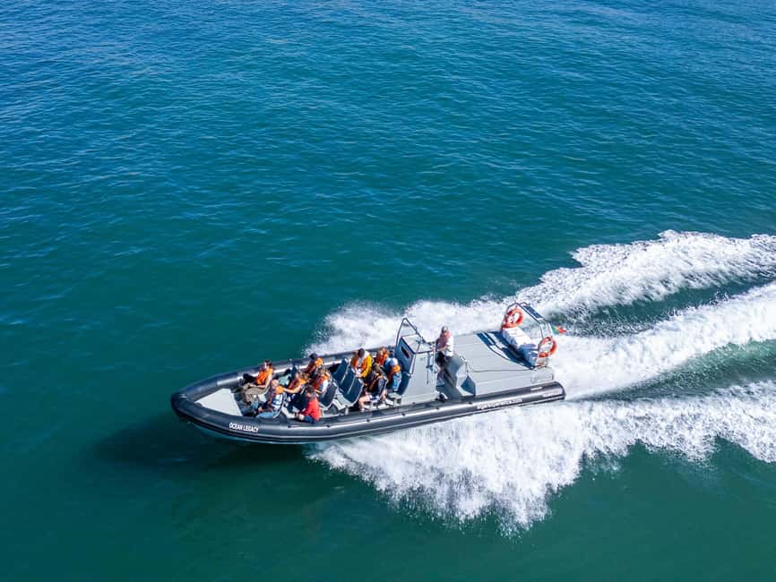 Albufeira: Dolphins, Benagil Caves and Coastline Boat Tour - Dolphin watching in their natural home