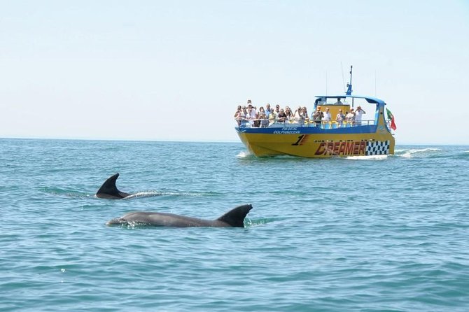Albufeira Dreamer Boat Trip - Leaving Albufeira Marina for the open coast