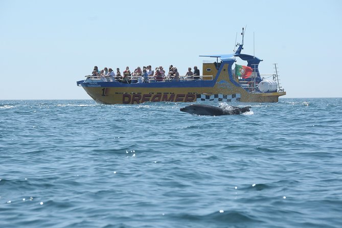Albufeira Dreamer Boat Trip - How comfortable and informative is the experience?
