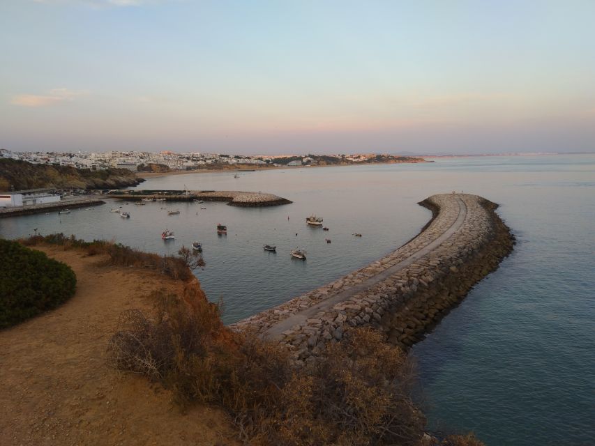Albufeira: Guided Tour by Tuk-Tuk - Marina and fishing dock: a different side of Albufeira