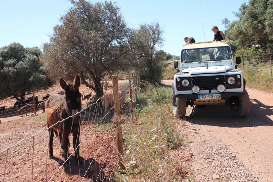 Albufeira: Jeep Safari Half-Day Countryside Tour - Alte and its natural fountains